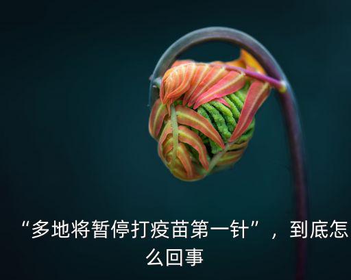 “多地將暫停打疫苗第一針”，到底怎么回事