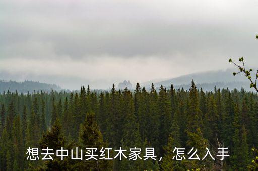 想去中山買紅木家具，怎么入手