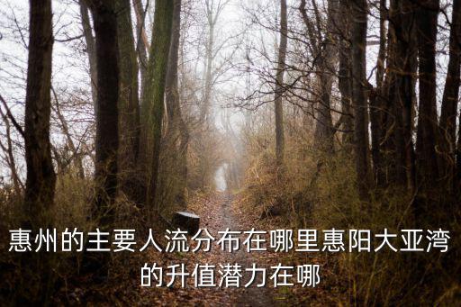 惠州的主要人流分布在哪里惠陽大亞灣的升值潛力在哪