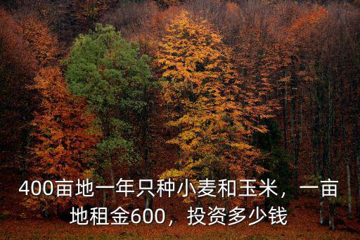 400畝地一年只種小麥和玉米，一畝地租金600，投資多少錢(qián)