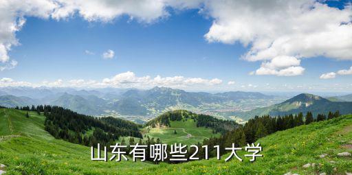 山東有多少大學(xué)院校,山東有哪些211大學(xué)