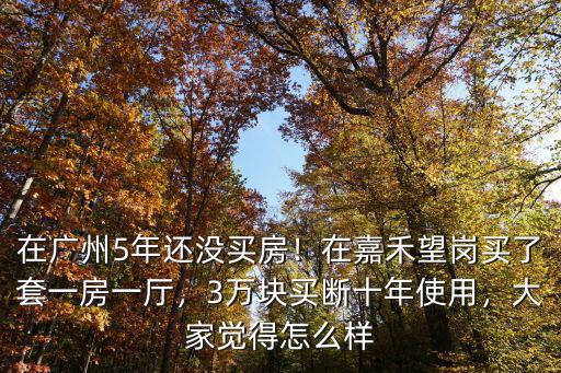 廣州嘉禾怎么樣租房子,廣州哪個區租房子最便宜的