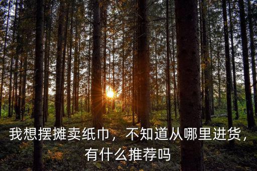 我想擺攤賣紙巾，不知道從哪里進貨，有什么推薦嗎