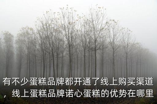 有不少蛋糕品牌都開通了線上購買渠道，線上蛋糕品牌諾心蛋糕的優勢在哪里