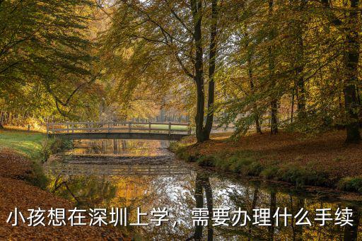 深圳沒有房子小孩上學怎么辦理,小孩想在深圳上學