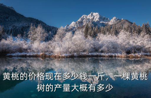 麗水黃桃批發(fā)多少錢一斤,黃桃的價格現在多少錢一斤