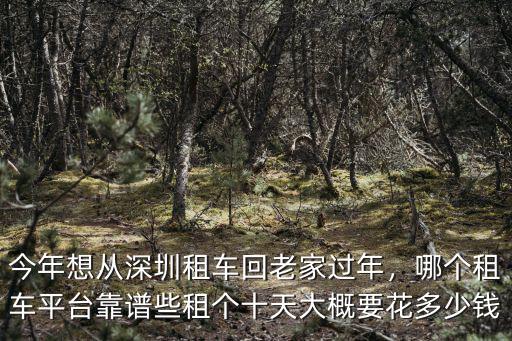 深圳神州租車長租多少錢一個月,在深圳開網租車