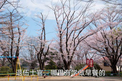 深圳沙灣哪里有學(xué)做早餐的,哪里有學(xué)做早餐的