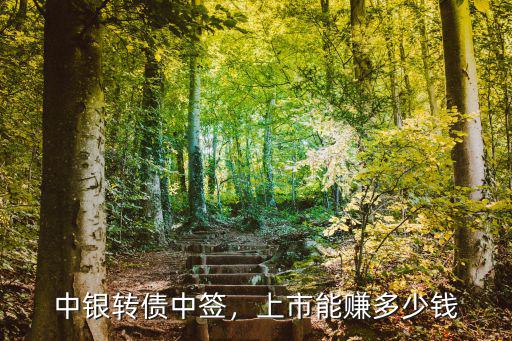 廣州港中簽能賺多少錢,中芯中簽能賺多少