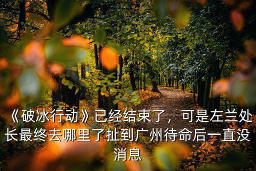廣州的區伯去哪里了,廣州恒大的榮昊去哪了