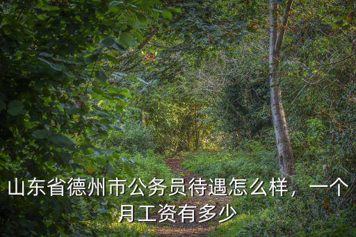 山東省德州市公務員待遇怎么樣，一個月工資有多少