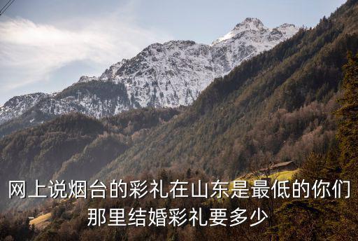 網(wǎng)上說煙臺的彩禮在山東是最低的你們那里結(jié)婚彩禮要多少