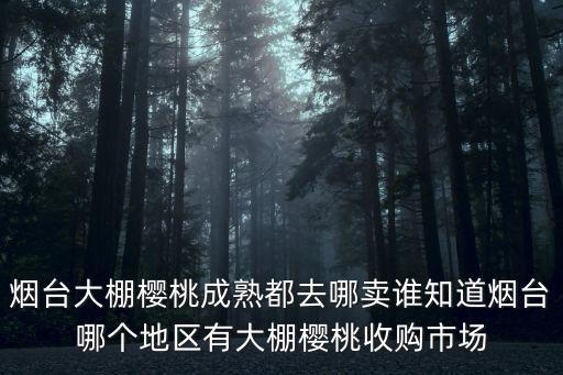 煙臺大棚櫻桃成熟都去哪賣誰知道煙臺哪個地區有大棚櫻桃收購市場