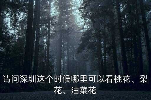 請問深圳這個時候哪里可以看桃花、梨花、油菜花