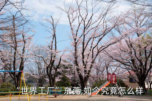 東莞沛源包裝廠工資怎么樣,世界工廠東莞