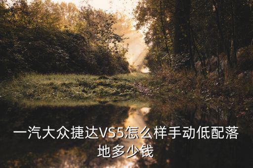 濟寧地區一汽捷達落地多少錢,手動低配落地多少錢