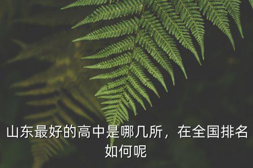 淄博市高考排名在省排名多少,高考省排名大概是多少