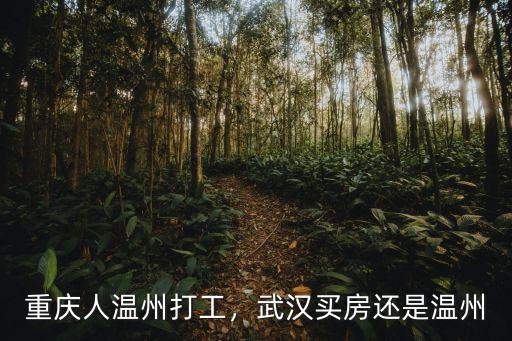溫州有多少湖北工人,湖北人能適合到溫州打工嗎