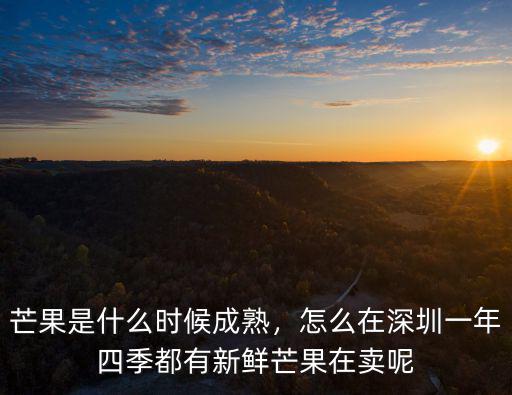 芒果是什么時候成熟，怎么在深圳一年四季都有新鮮芒果在賣呢