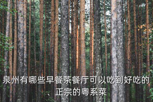 泉州市哪里有正宗的廣東煲仔飯,廣東哪個(gè)地方的煲仔飯最好吃