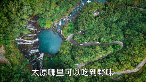 廣東哪里吃野味最多,太原哪里可以吃到野味