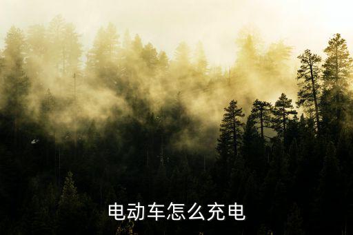 廣州小北電動車該怎么充電,純電動車怎么樣
