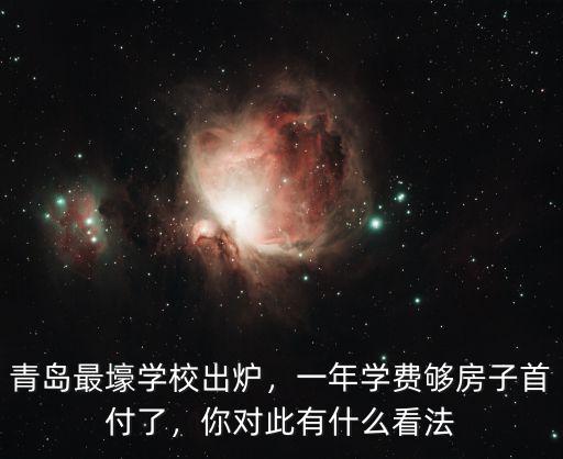 青島最壕學校出爐，一年學費夠房子首付了，你對此有什么看法