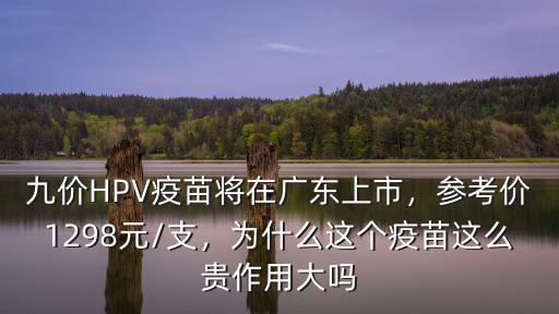 廣東九價疫苗免費哪里有,九價HPV疫苗哪里可以打