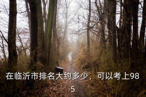在臨沂市排名大約多少，可以考上985