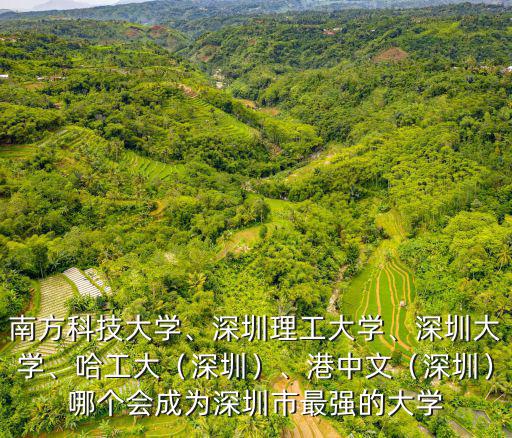 南方科技大學、深圳理工大學、深圳大學、哈工大（深圳）、港中文（深圳）哪個會成為深圳市最強的大學