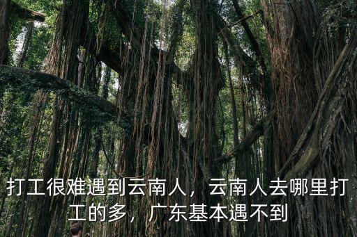 廣東哪里云南人多,云南人去哪里打工的多
