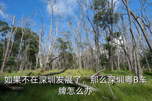 如果不在深圳發展了，那么深圳粵B車牌怎么辦