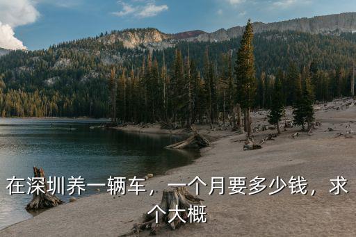 在深圳養(yǎng)一輛車，一個(gè)月要多少錢，求個(gè)大概