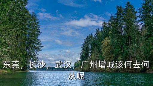 武漢與廣州哪里生意好,廣州房價接近武漢的兩倍