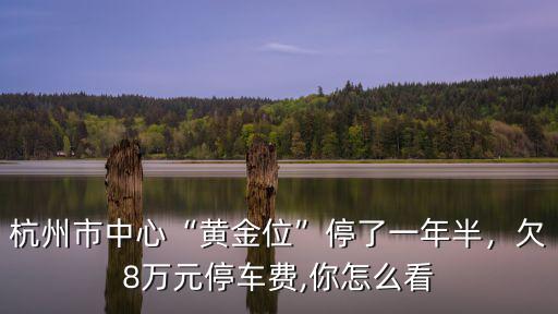 杭州保利中心停車費多少,杭州市中心黃金位停了一年半