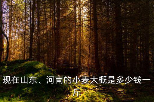 山東濱州麥子多少錢一斤,河南的小麥大概是多少錢一斤