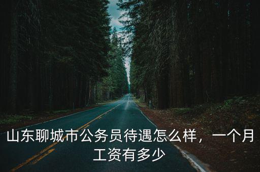 山東聊城市公務(wù)員待遇怎么樣，一個(gè)月工資有多少