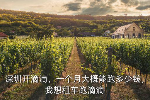 深圳開滴滴，一個月大概能跑多少錢，我想租車跑滴滴