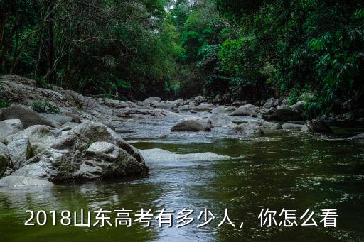 2018山東高考有多少人，你怎么看