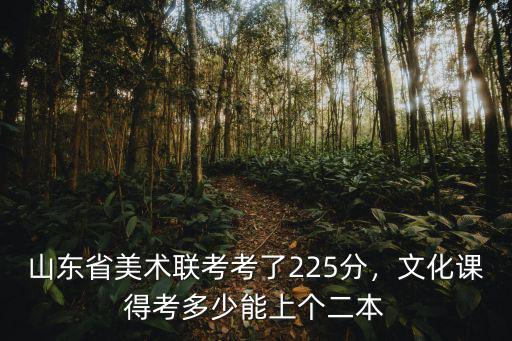 山東省美術聯考考了225分，文化課得考多少能上個二本