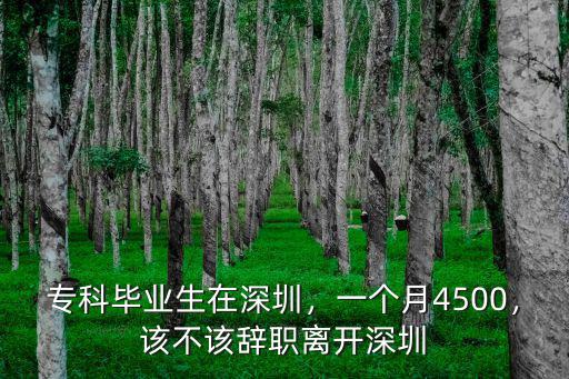 專科畢業(yè)生在深圳，一個月4500，該不該辭職離開深圳