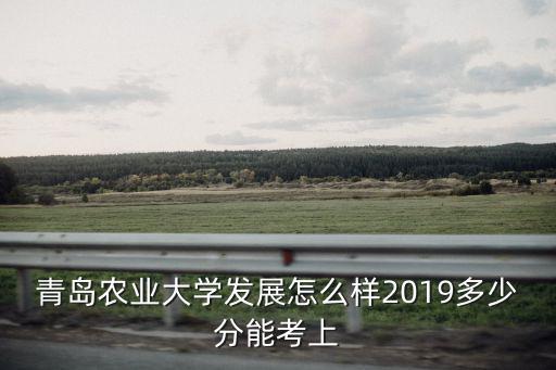 青島農業大學發展怎么樣2019多少分能考上