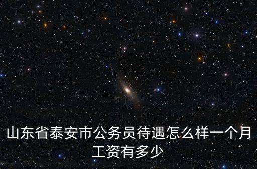 聊城市公務員加上車補工資多少錢,一個月工資有多少