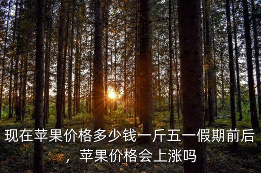 威海蘋果多少錢一斤,現在蘋果價格多少錢一斤