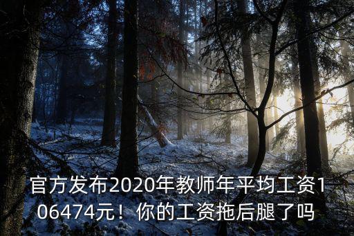 浙江2020年社平工資是多少,2020年全國平均工資出爐