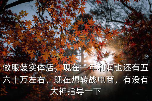 杭州做服裝批發一年賺多少錢,兩口子想在杭州做服裝批發