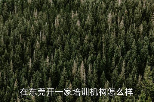 在東莞開一家培訓(xùn)機(jī)構(gòu)怎么樣