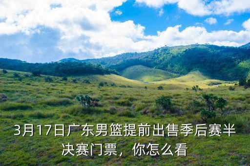 廣東宏遠籃球門票是多少,廣東宏遠籃球隊賺錢嗎