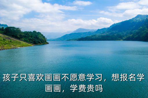孩子只喜歡畫畫不愿意學習，想報名學畫畫，學費貴嗎