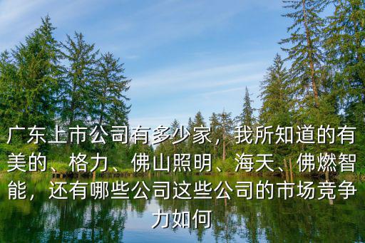 廣州的上市公司多少家,廣東上市公司有多少家